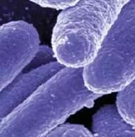 1514275889437547.jpg 6.jpg